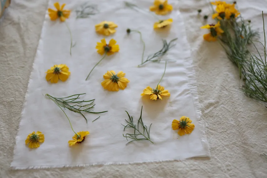 Flowers & Plants to Use for Eco-Printing